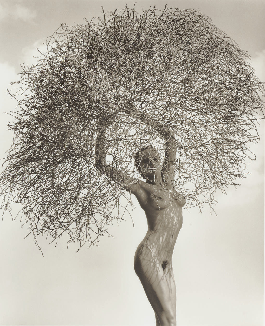 Herb Ritts "Neith with Tumbleweed" Tee