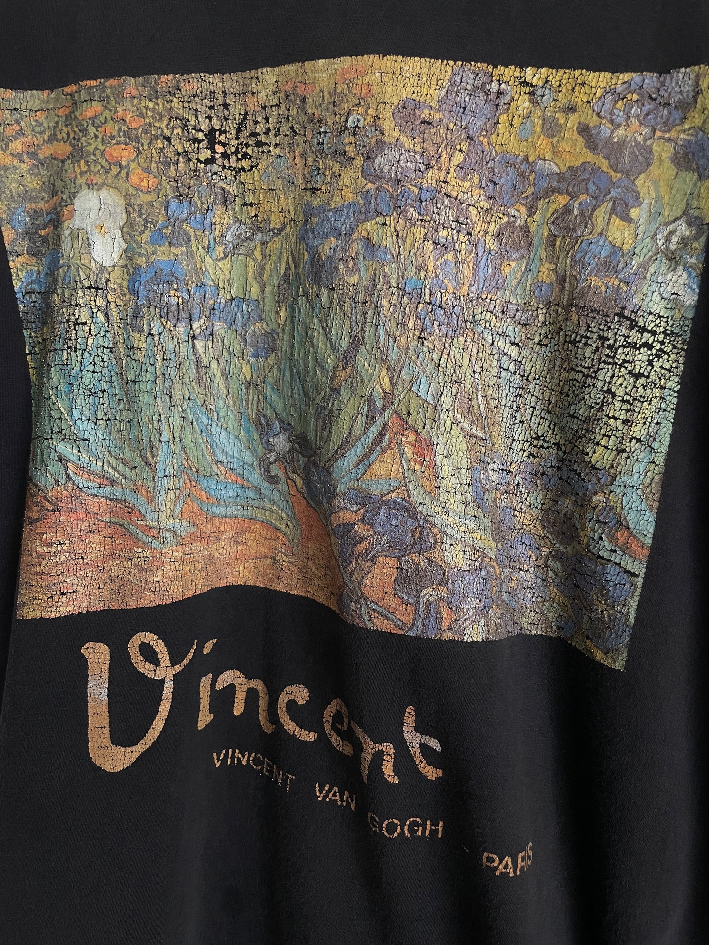 Vincent van Gogh "Irises" Tee